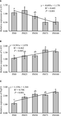 Functional Properties of Protein Hydrolysates on Growth, Digestive Enzyme Activities, Protein Metabolism, and Intestinal Health of Larval Largemouth Bass (Micropterus salmoides)